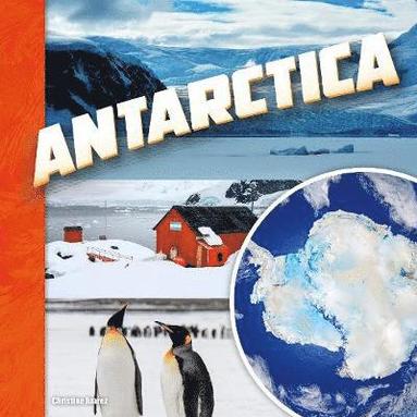 bokomslag Antarctica