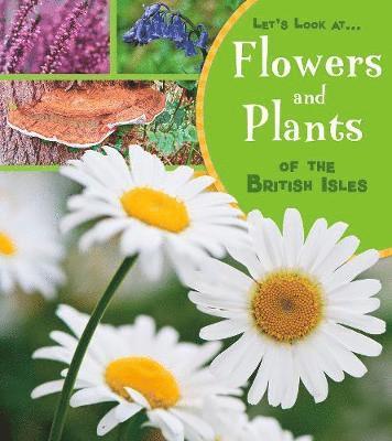 Flowers and Plants of the British Isles 1