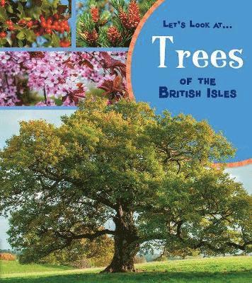 bokomslag Trees of the British Isles