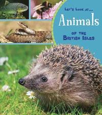 bokomslag Animals of the British Isles