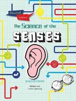 The Senses 1