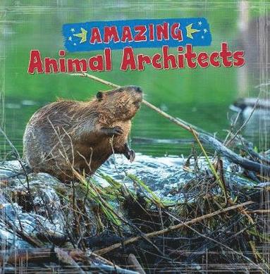 bokomslag Amazing Animal Architects