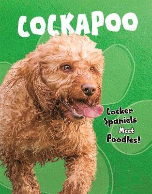 bokomslag Cockapoo