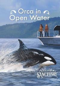 bokomslag Orca in Open Water