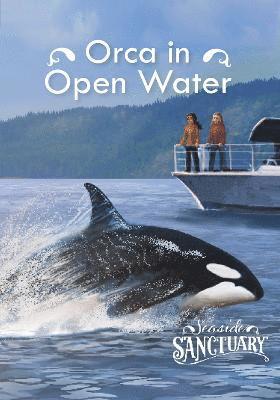 Orca in Open Water 1