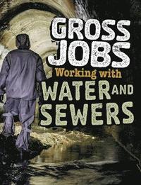 bokomslag Gross Jobs Working with Water and Sewers