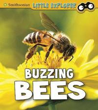 bokomslag Buzzing Bees