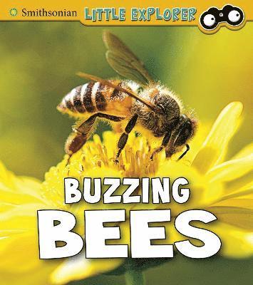 Buzzing Bees 1