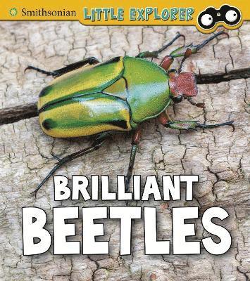 bokomslag Brilliant Beetles
