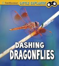 bokomslag Dashing Dragonflies