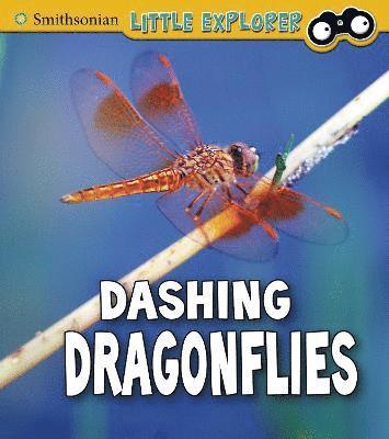 bokomslag Dashing Dragonflies
