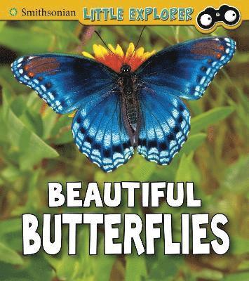 Beautiful Butterflies 1