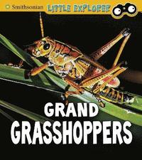 bokomslag Grand Grasshoppers