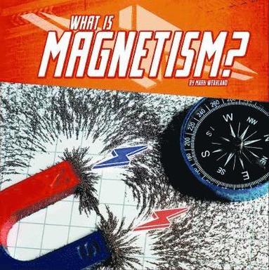 bokomslag What Is Magnetism?