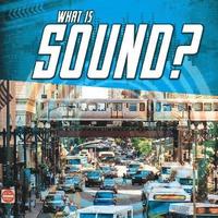 bokomslag What Is Sound?