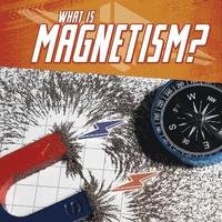 bokomslag What Is Magnetism?