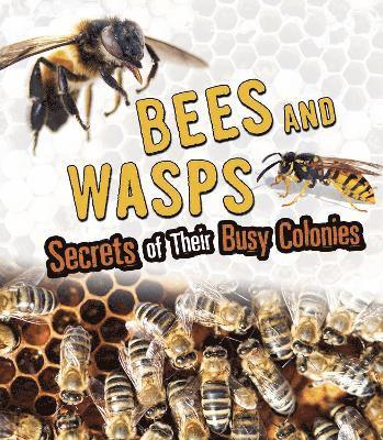 bokomslag Bees and Wasps