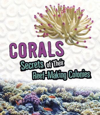 Stefoff, R: Corals