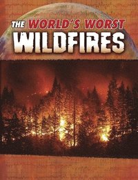 bokomslag The World's Worst Wildfires