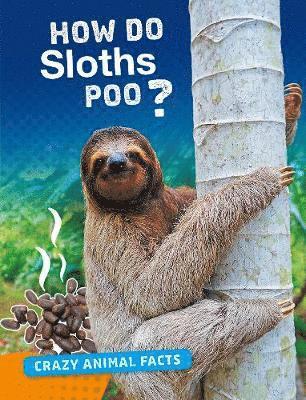 How Do Sloths Poo? 1