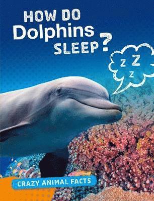 How Do Dolphins Sleep? 1