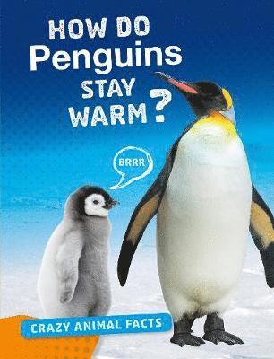How Do Penguins Stay Warm? 1