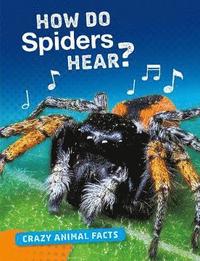 bokomslag How Do Spiders Hear?
