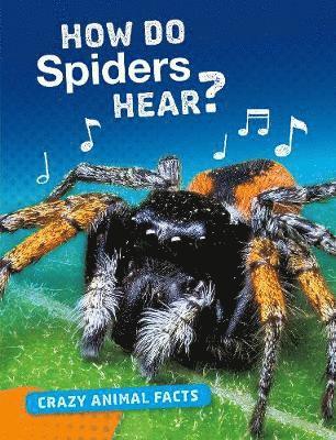 How Do Spiders Hear? 1