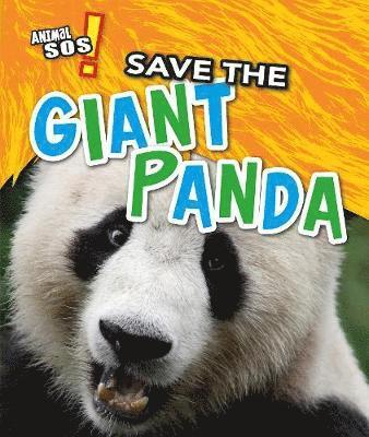 Angela Royston - Save the Giant Panda, Häftad