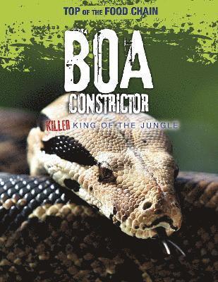 Boa Constrictor 1