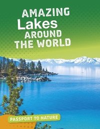bokomslag Amazing Lakes Around the World