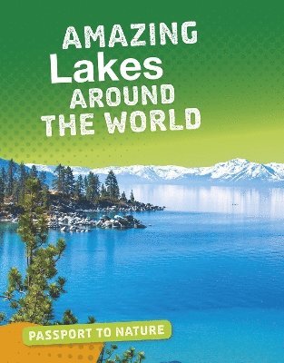 bokomslag Amazing Lakes Around the World