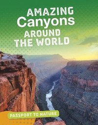 bokomslag Amazing Canyons Around the World