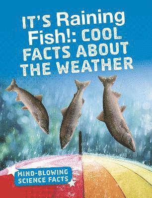 It's Raining Fish! 1