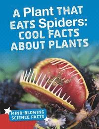 bokomslag A Plant That Eats Spiders