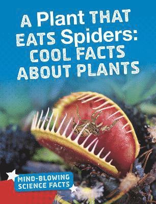 A Plant That Eats Spiders 1