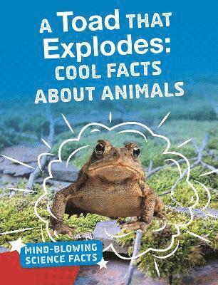 Melissa Abramovitz - A Toad That Explodes, Häftad