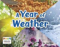 bokomslag A Year of Weather