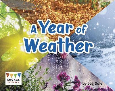 A Year of Weather 1