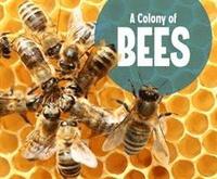 bokomslag A Colony of Bees
