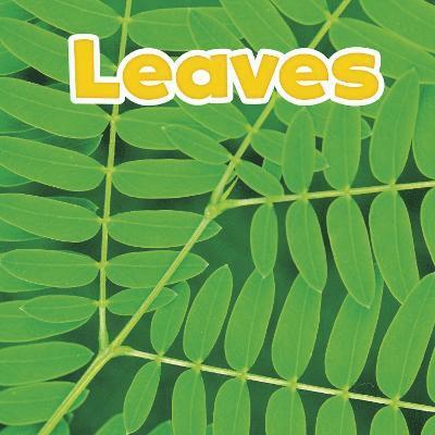 Leaves 1