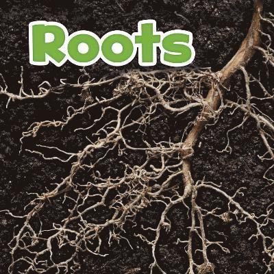 Roots 1