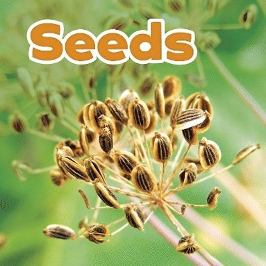 bokomslag Seeds