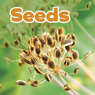 Seeds 1