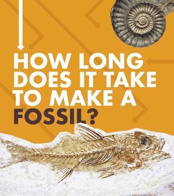 How Long Does It Take to Make a Fossil? 1