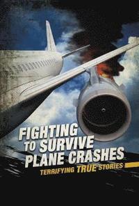 bokomslag Fighting to Survive Plane Crashes