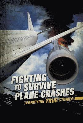 bokomslag Fighting to Survive Plane Crashes