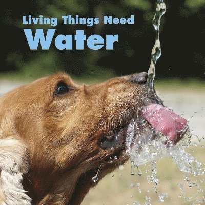 Living Things Need Water 1