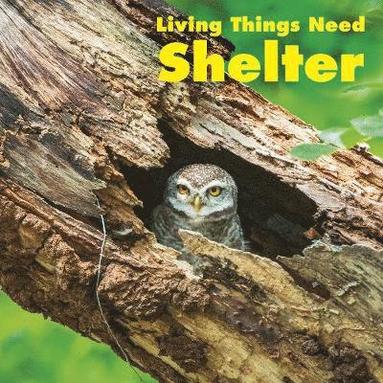 bokomslag Living Things Need Shelter