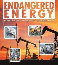 bokomslag Endangered Energy